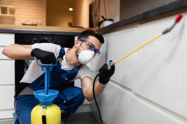 Best Rat Extermination Near Me  in Portage, MI
