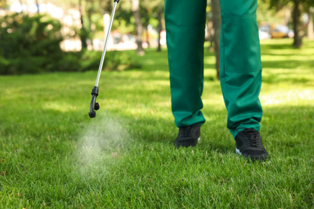 Best Exterminator Services  in Portage, MI
