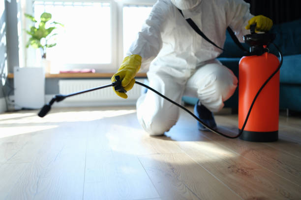 Flea Control Services in Portage, MI