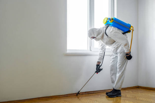 Best Pest Inspection Near Me  in Portage, MI