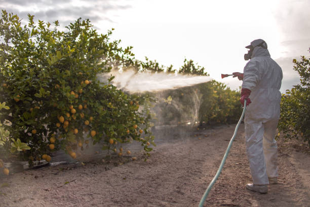 Best Pest Control for Restaurants  in Portage, MI