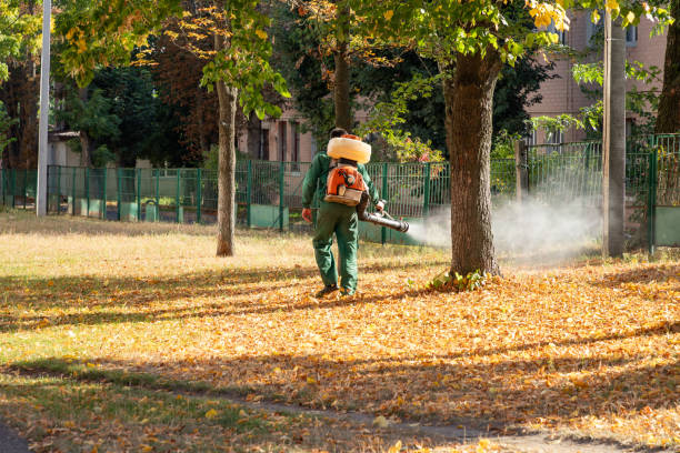 Best Pest Removal Services  in Portage, MI